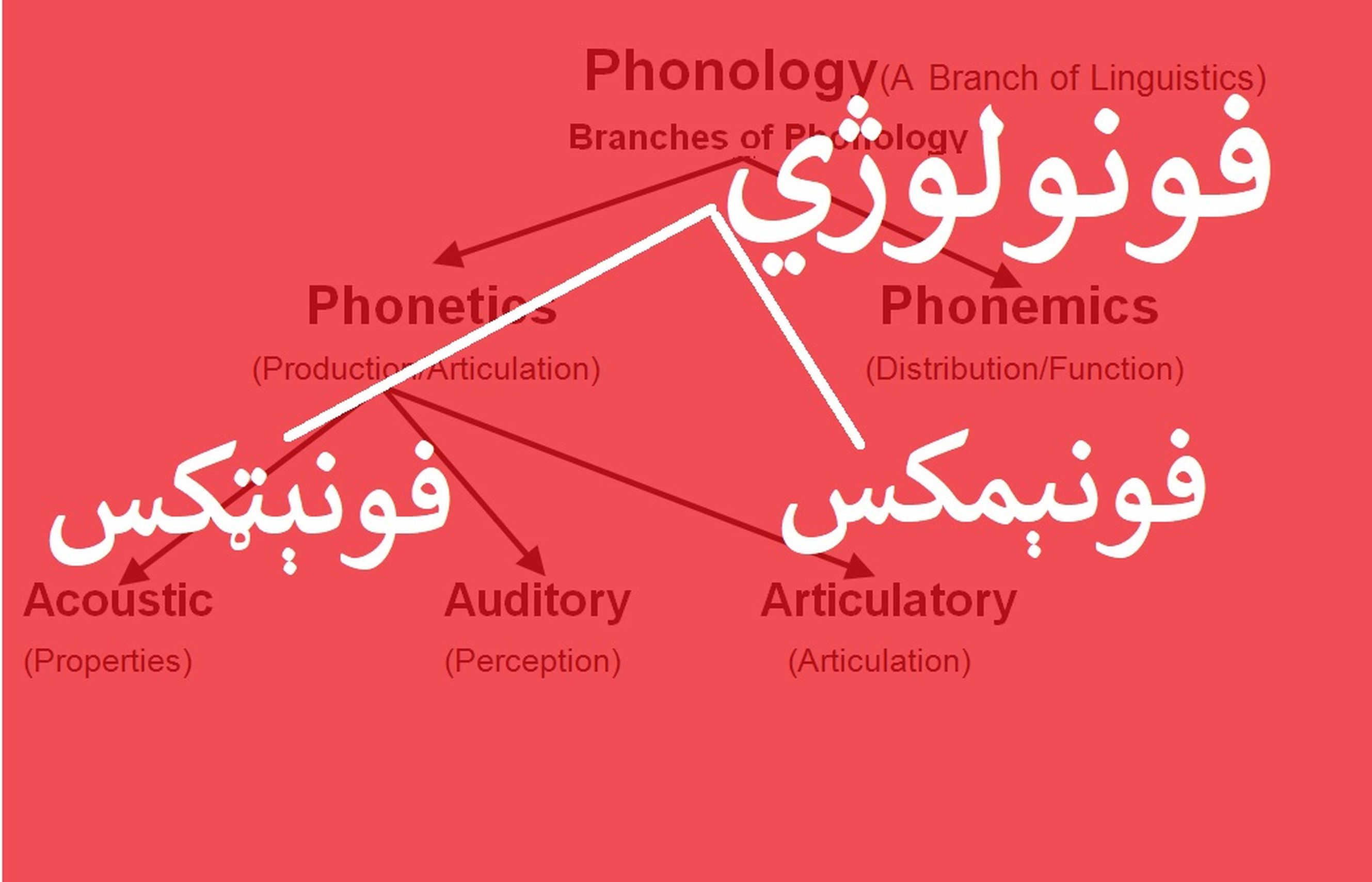 آیا فونيټکس او فونيمکس د فونولوژۍ څانګې دي؟ ـ تمهيد سيلانی